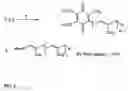 Fig. 03 - Practical, cost-effective synthesis of ubiquinones