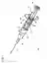 Fig. 04 - Single use syringe for two stroke procedures