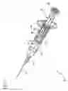 Fig. 06 - Single use syringe for two stroke procedures