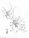 Fig. 08 - Catheter sheath slitter and method of use