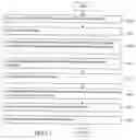 Fig. 13 - Methods of issuing a certificate for a domain name