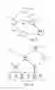 Fig. 07 - Network analysis system and method