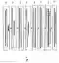Fig. 06 - Pre-execution environment compliant dynamic host configuration protocol relay agent