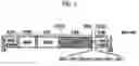 Fig. 06 - Novel polypetide having function of 7-keto-8-aminopelargonic acid synthase of plant and method for inducing growth inhibition and lethality by suppressing expression of the polypeptide