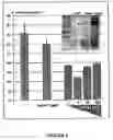 Fig. 05 - Plant peptide with antimicrobial activity