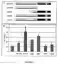 Fig. 06 - Plant peptide with antimicrobial activity