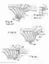 Fig. 05 - Vehicle cleaning element