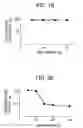 Fig. 17 - Combination of selected opioids with other active substances for use in the therapy of urinary incontinence