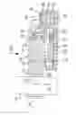 Fig. 01 - Blocking device for a motor vehicle steering shaft