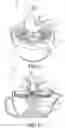 Fig. 08 - Reamer structure of a juicer
