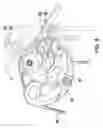Fig. 09 - Adjustable cam for a crossbow