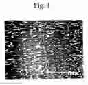 Fig. 02 - Rare earth magnet alloy ingot, manufacturing method for the same, R-T-B type magnet alloy ingot, R-T-B type magnet, R-T-B type bonded magnet, R-T-B type exchange spring magnet alloy ingot, R-T-B type exchange spring magnet, and R-T-B type exchange spring bonded magnet