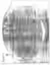 Fig. 07 - Silicone lid for sealing any type of open-ended container