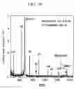 Fig. 31 - Mass spectrometer