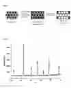 Fig. 02 - Macroporous perovskite manganese oxides with highly ordered nano-pores and method of preparing the same