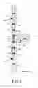 Fig. 04 - Method of increasing the operating frequency in a series-shunt configured PIN diode switch