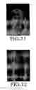 Fig. 07 - Method of watermark with hybrid halftone dots