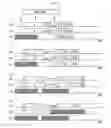 Fig. 03 - Wireless packet communication method and wireless packet communication apparatus