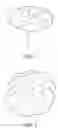 Fig. 02 - Non-perishable plant-derived decorative items and methods for making same