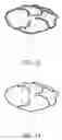 Fig. 07 - Non-perishable plant-derived decorative items and methods for making same