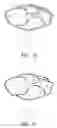 Fig. 09 - Non-perishable plant-derived decorative items and methods for making same
