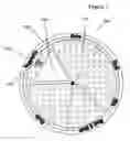 Fig. 06 - Article of manufacture and method for the packaging of food products