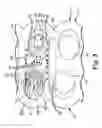 Fig. 06 - Masking an engine block during coating application