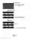 Fig. 02 - Composites and composite membranes