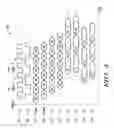 Fig. 06 - Parallel path alignment method and apparatus