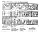 Fig. 08 - Graphic-information flow method and system for visually analyzing patterns and relationships