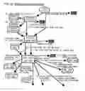 Fig. 10 - Graphic-information flow method and system for visually analyzing patterns and relationships