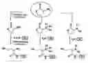 Fig. 02 - Method of preparing multi-modal anion-exchange ligands