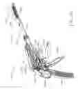 Fig. 23 - Surgical stapling instrument incorporating a multi-stroke firing mechanism with return spring rotary manual retraction system