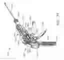 Fig. 25 - Surgical stapling instrument incorporating a multi-stroke firing mechanism with return spring rotary manual retraction system