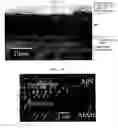 Fig. 06 - Aluminum nitride single-crystal multi-layered substrate