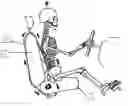 Fig. 01 - Back support for placing the back of a user in traction
