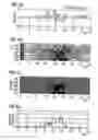 Fig. 06 - Method and device for recognizing a collision