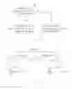Fig. 06 - Method for video processing and scalar using the same