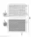 Fig. 02 - Method of adjusting strobe length in a thermal printer to reduce effects of changes in media transport speed