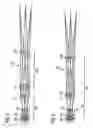 Fig. 06 - Tube for a viewing device as well as a viewing device