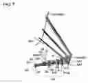 Fig. 08 - Projection optical system