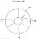Fig. 07 - Color wheel and manufacturing method of same