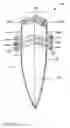 Fig. 05 - Pouch having at least one pleat
