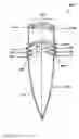 Fig. 06 - Pouch having at least one pleat