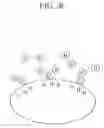 Fig. 06 - Sterilizing apparatus and ion generating apparatus