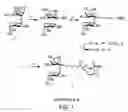 Fig. 02 - Methods of inducing neuronal growth by a Fucose-α(1-2) galactose (fuc-α(1-2) gal) moiety and a lectin
