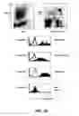 Fig. 04 - Binding molecules for the treatment of myeloid cell malignancies