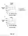 Fig. 22 - Binding molecules for the treatment of myeloid cell malignancies