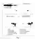 Fig. 08 - Compositions and methods for inhibiting adhesion and infection