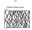 Fig. 02 - Laminated film and method for producing same